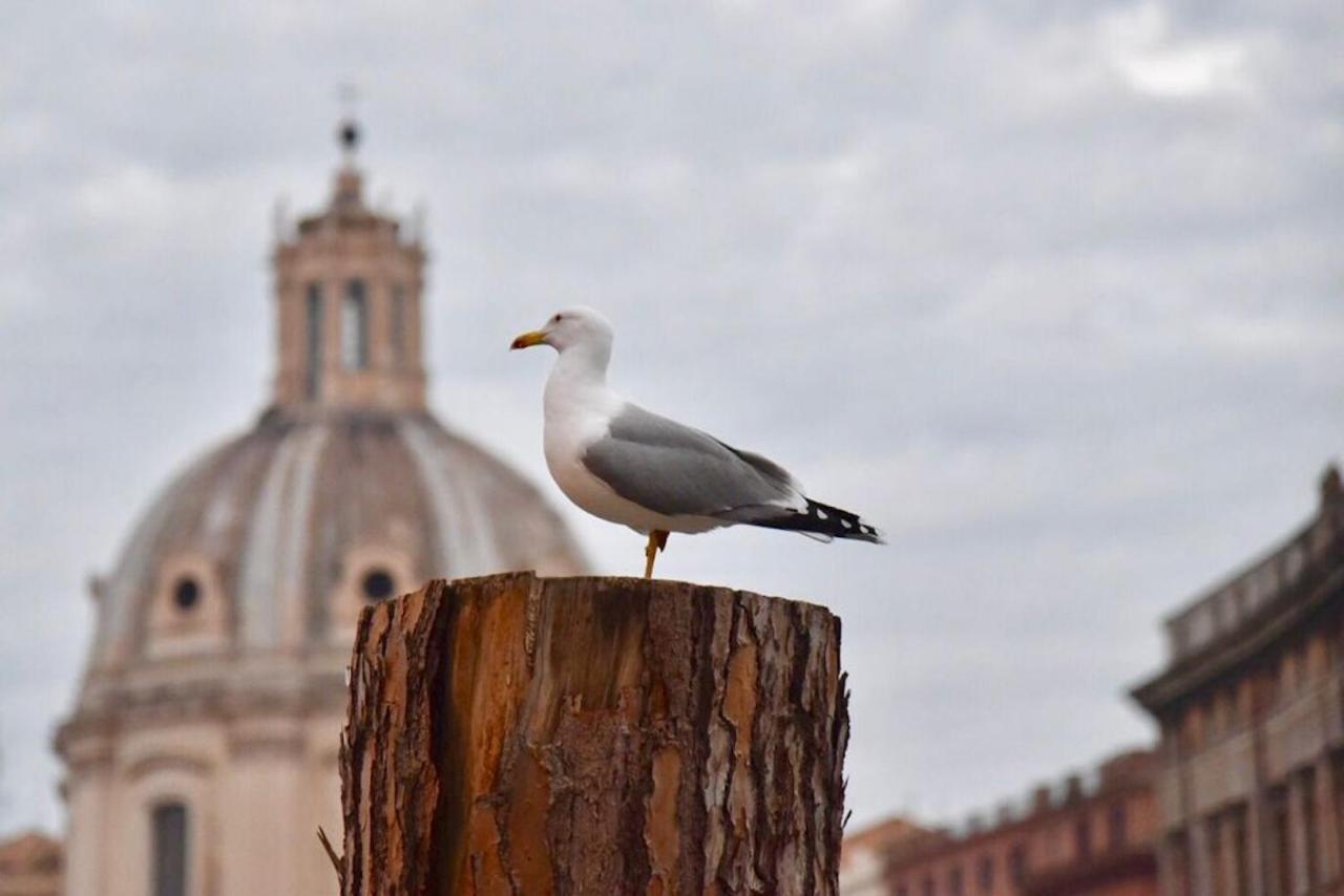 Falegnami Apartment Rome Buitenkant foto